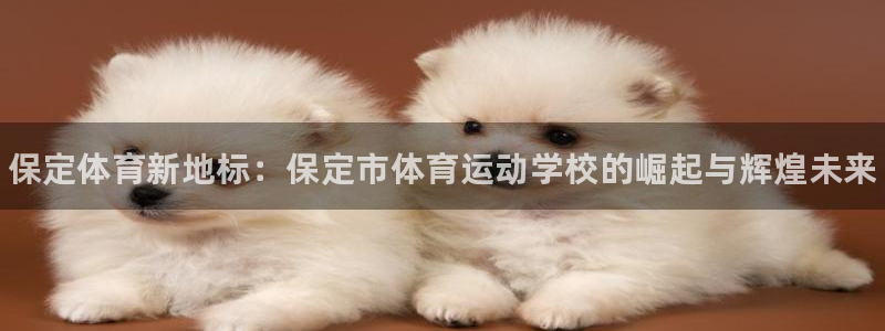 千亿国际官网下载娱乐:保定体育新地标:保定市体育运动学校的崛