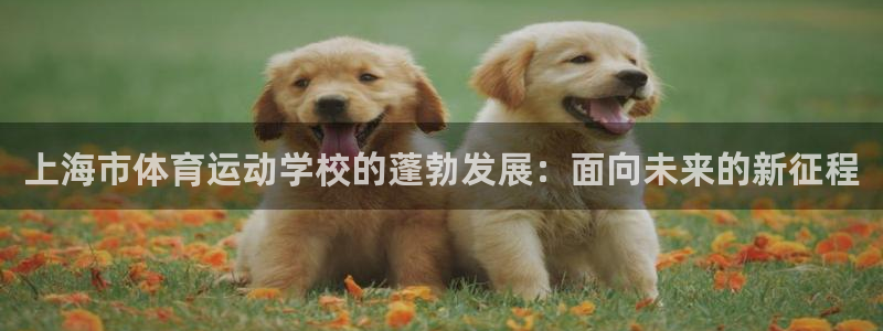 千亿国际官网下载平台注册要钱吗是真的吗:上海市体育运动学校的